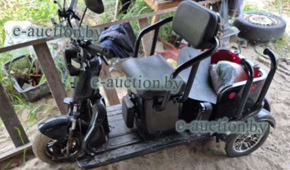 Электротрицикл GREEN CAMEL