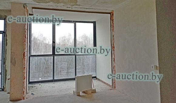 Однокомнатная квартира в г. Минске, площадью 134.3 м²