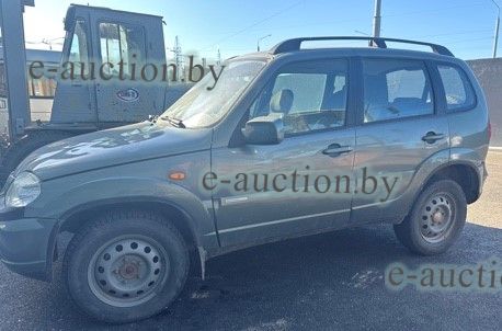 Chevrolet Niva 212300-55, 2009