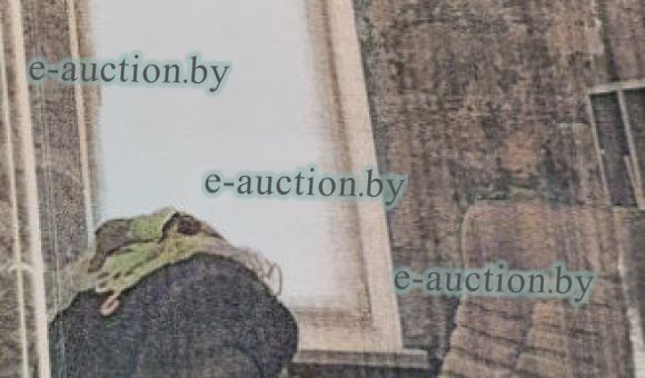 Рольшторы (розовые)