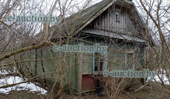 Жилой дом в д. Лебедевка (Бобруйский район) площадью 48.9м²