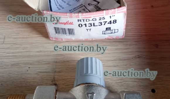 Термостат RTD G25
