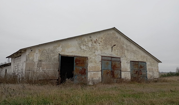 Телятник вблизи д. Синие Горы (Смолевичский район), площадью 1253.7 м² Телятник вблизи д. Синие Горы (Смолевичский район), площадью 1253.7 м²