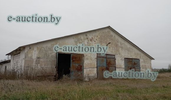 Телятник вблизи д. Синие Горы (Смолевичский район), площадью 1253.7 м²