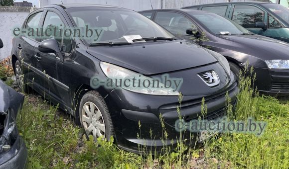 Peugeot 207, 2009