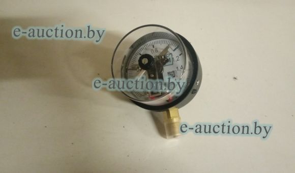 Монометр ДМ2010Ф