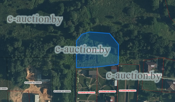 Земельный участок в д. Загорье (Логойский район), площадью 0.2915 га