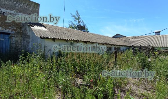 Галерея для хряков № 1 в д. Мацкевичи (Копыльский район), площадью 126.7 м²