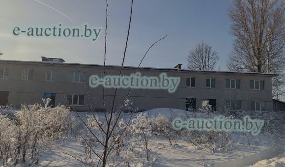 1/2 доля в праве собственности на здание многофункциональное в г. Могилеве, площадью 1520.8м²