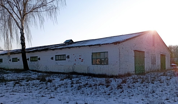 Коровник вблизи д. Сиреневка (Дрогичинский район), площадью 1422.5 м² Коровник вблизи д. Сиреневка (Дрогичинский район), площадью 1422.5 м²