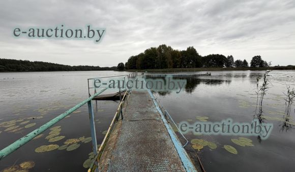 Загородная база «Яново»  (Полоцкий район)