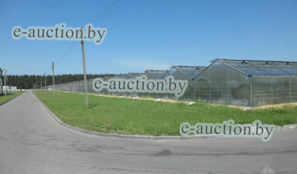 Часть здания (тепличного комбината) в д. Гибуличи (Гродненский район), площадью 15090 м² 