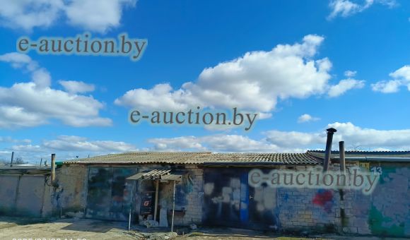 Гараж в аг. Кадино (Могилевский район) площадью 31.1м²