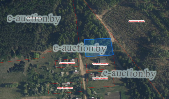 Земельный участок в д. Зеленая Дуброва (Стародорожский район), площадью 0.2500 га