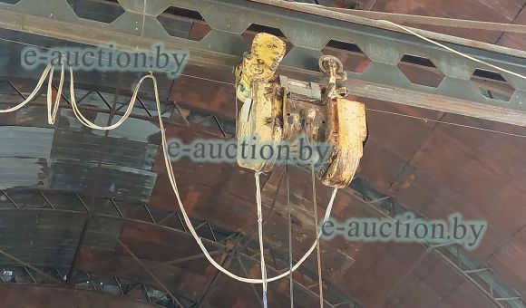 Таль электрическая 