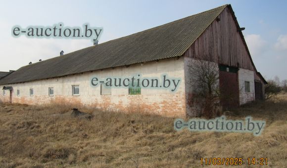 Здание свинофермы в д. Розановщина (Слонимский район), площадью 1015.3 м²
