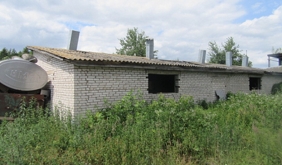 Здание сарая для содержания свиней, в Могилевском районе, Вейнянском с/с, площадью 153.5м²