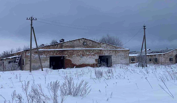 Комплекс недвижимого имущества в д. Журавлевка (Гомельский район)