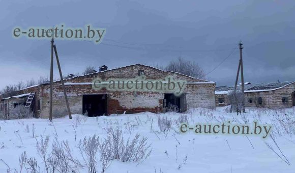 Комплекс недвижимого имущества в д. Журавлевка (Гомельский район)