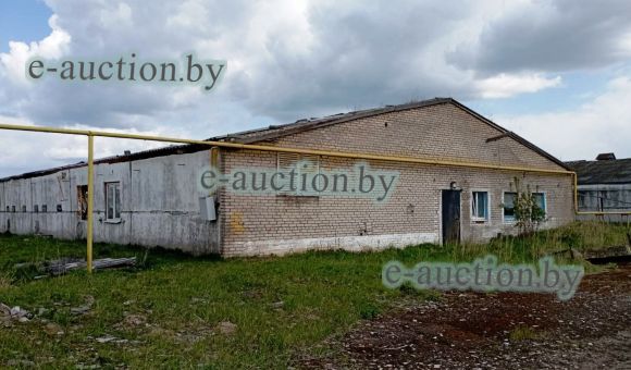 Птичник вблизи д. Большая Ухолода (Борисовский район), площадью 1494.5 м²