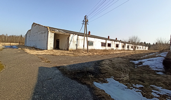 Свинарник вблизи д. Муравщина (Полоцкий район), площадью 1834.6 м² Свинарник вблизи д. Муравщина (Полоцкий район), площадью 1834.6 м²