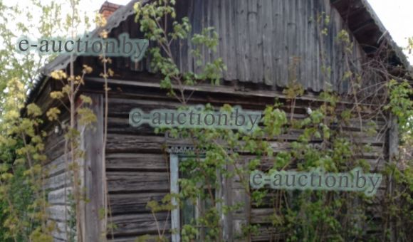 1/2 доля в праве собственности на жилой дом в д. Новые Дятловичи (Гомельский район), площадью 40.1 м²